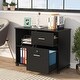 preview thumbnail 11 of 17, Mobile Lateral File Pedesta, 2 Drawer File Cabinet with Lock