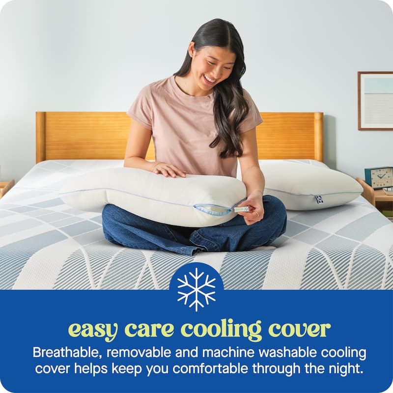 Sealy Dreamlife Performance Foam Pillow, Standard