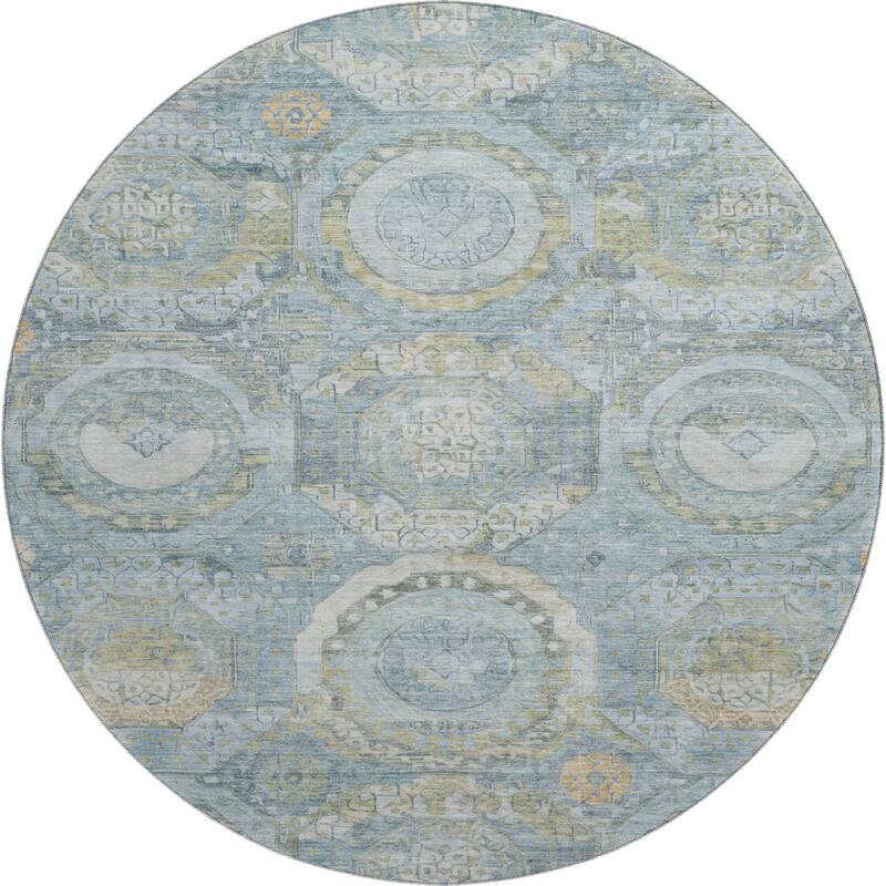 Premium Washable Super Soft Vintage Medallions Mayfield Rug