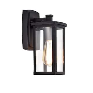 1-light Textured Black Outdoor Wall Lantern