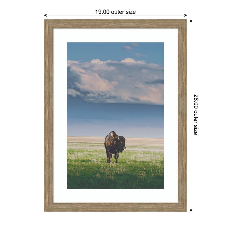Sunlight Bison by Annie Bailey Art Wood Framed Wall Art Print - Woodgrain Stripe Mocha - 19 x 26 in