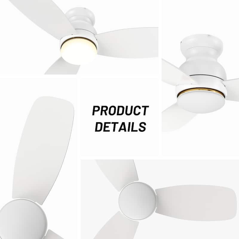 CARRO Reed 44" Indoor Ceiling Fan with Light and Remote - N/A
