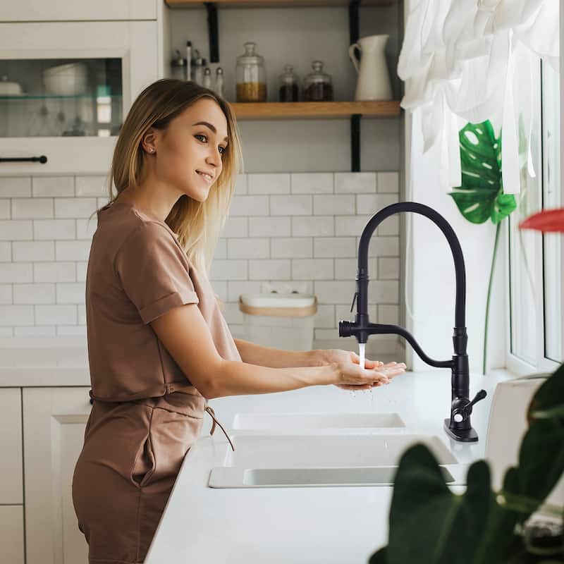 WOWOW Single Handle Pull Down Sprayer Kitchen Faucet