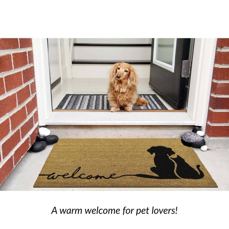 Charming Dog & Cat Welcome Mat