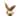 Napkin Rings With Bunny Ears Design (Set of 4)