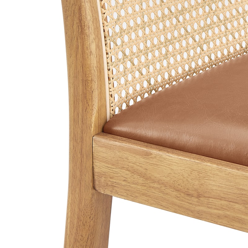 NPD Furniture Donna Faux Leather Rattan Counter Stool (Set of 2)