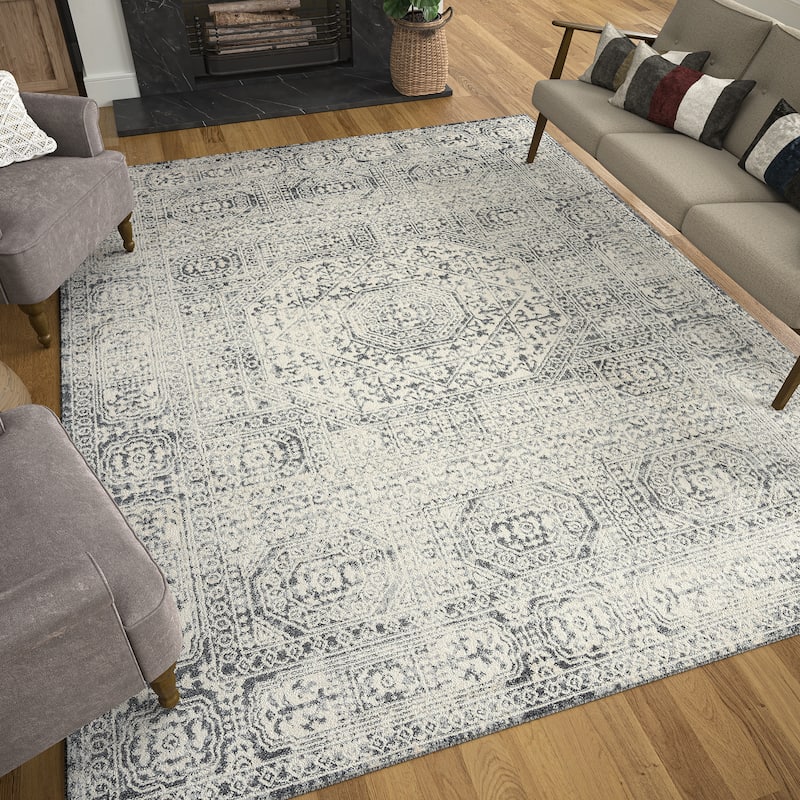 Tucson Farmhouse Oriental Indoor Area Rug