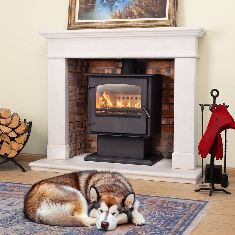 Aoodor Wood Burning Stove, Multi-fuel Stove with Pedestal