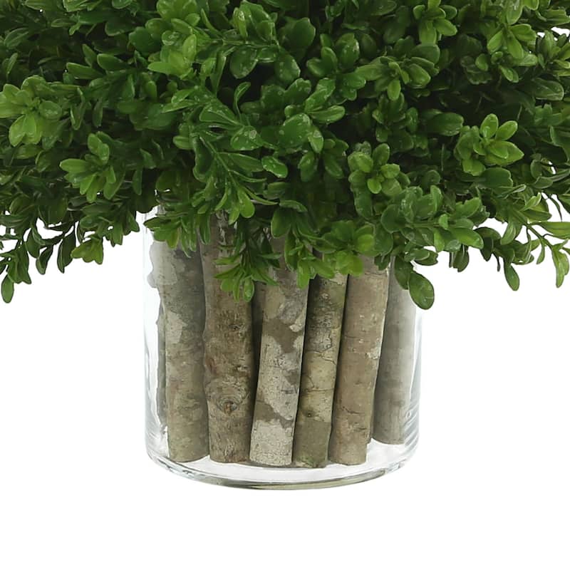 Boxwood in a Glass Vase with Birch Sticks - Green