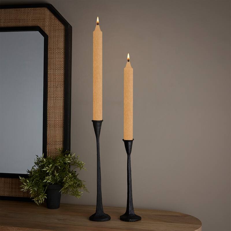 ROOT 12 Inch Unscented Timberline Arista Taper Candles box of 12 - 12 X 7/8