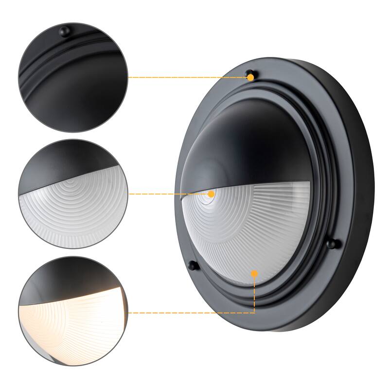 C Cattleya Integrated LED 3CCT Wall Sconce with Frosted Glass