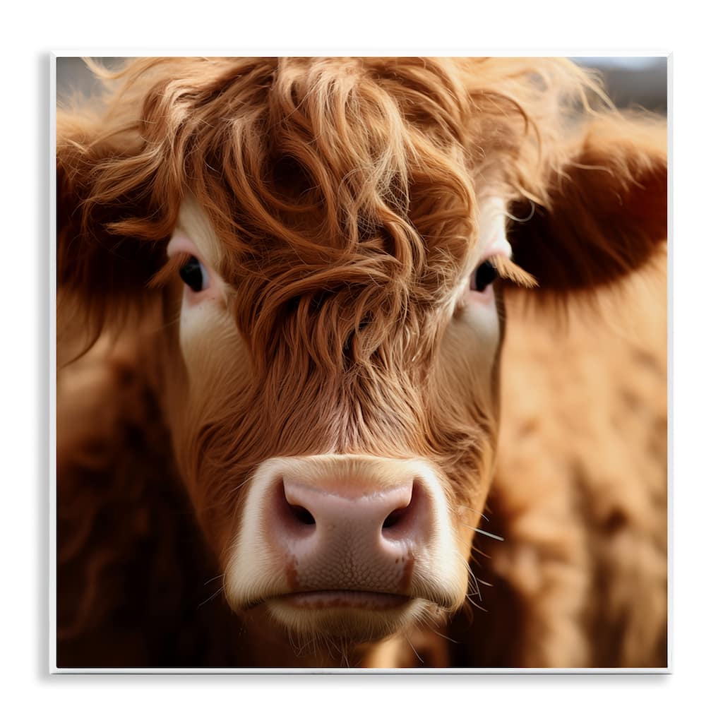 Stupell Close Up Furry Cow Portrait Wall Plaque Art Design By Heidi Kuntz