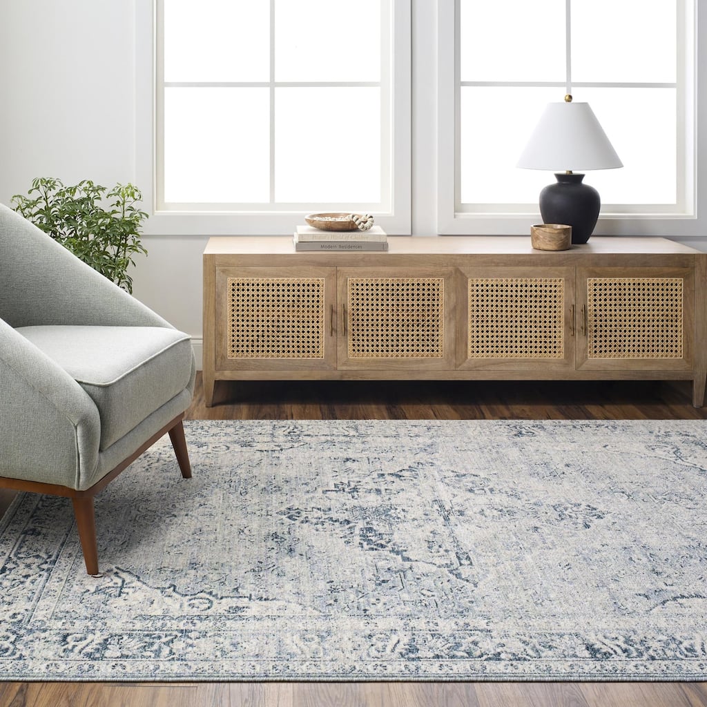 Dobbins Traditional Medallion Area Rug