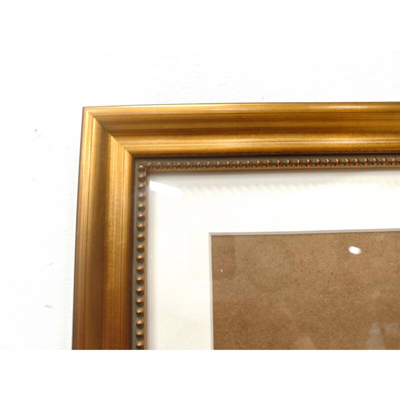 Solid Wood Picture Frame - Replaceable Canvas Art Frame with Organic Glass, Elegant Framed Wall Decor for Living Room