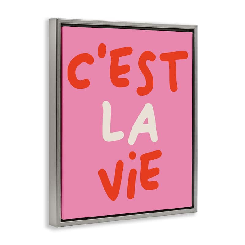 Stupell C'est La Vie on Pink Framed Floater Canvas Wall Art Design By House of Lulu