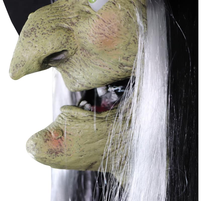 Haunted Hill Farm Motion-Activated Wicked Sitchwick Sisters, Premium Talking Halloween Animatronic, Plug-In