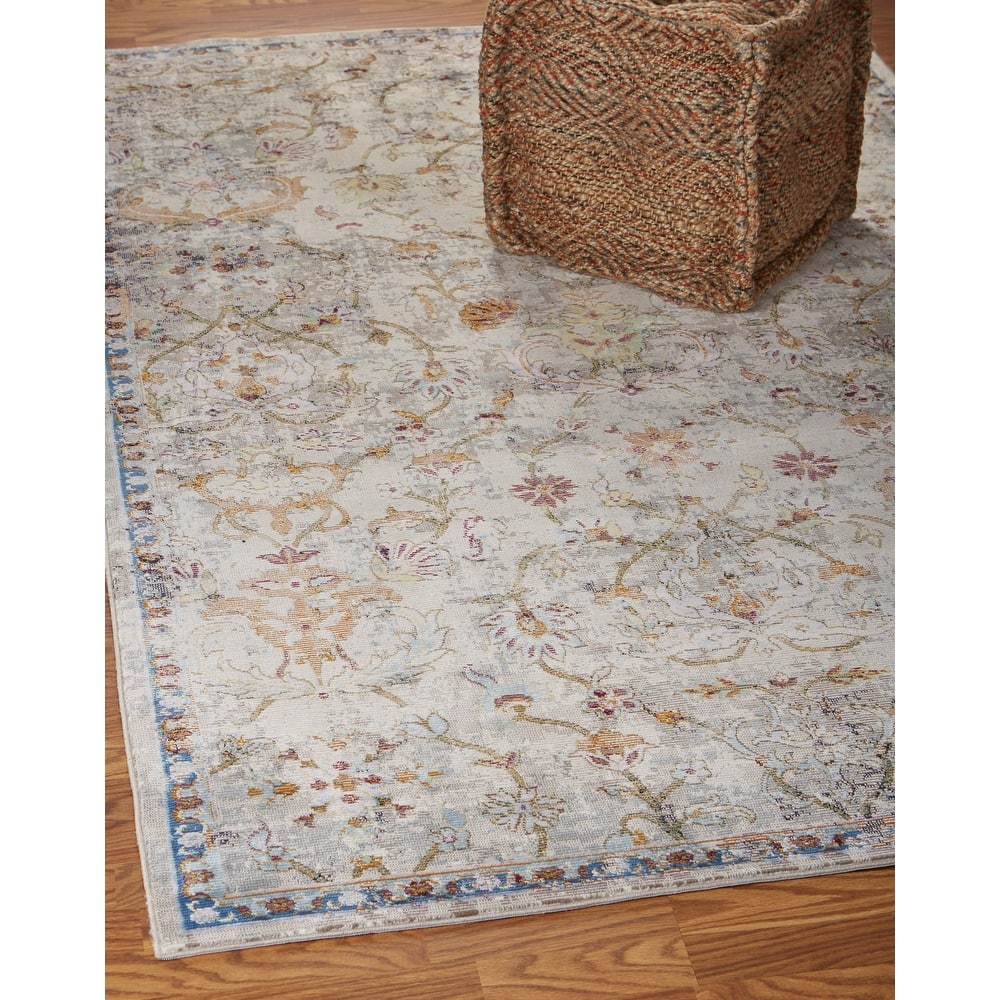 Sevita Floral Garden Multicolor Oriental Rug
