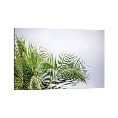 iCanvas "Palm Tree" by Mark Paulda Canvas Print