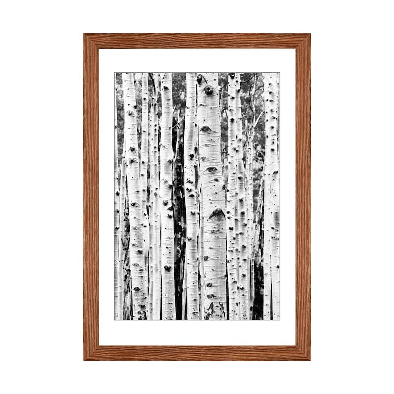 iCanvas "Birch In Black & White" by Sisi & Seb PFA - Walnut - 32x24x1