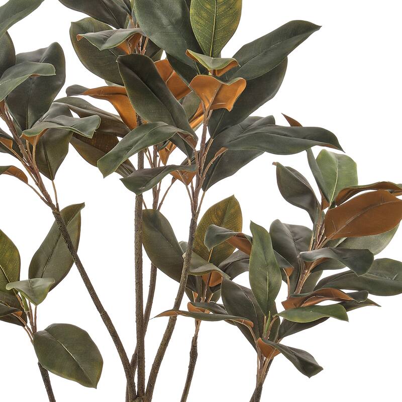 4' Potted Magnolia Leaf Tree