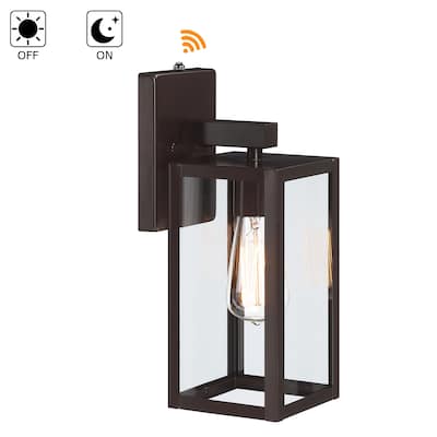 1-Light Outdoor Wall Light with Clear Glass