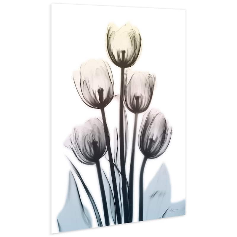 "Springing Tulips" Frameless Free Floating Tempered Glass Panel Graphic Wall Art
