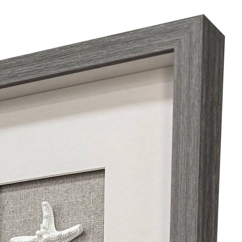 Paragon Natural Elements Framed Art - Set of 4
