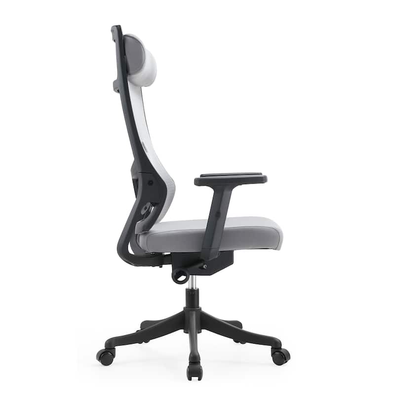 Dale Mesh Back Ergonomic Office Chair with Adjustable Height/Arms Cotton Padded Seat Tilt Swivel for Home Office or Conference