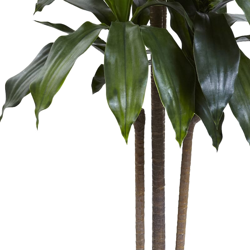 5Ft Dracaena Plant - Indoor Outdoor Tall Houseplant - Statement Plant for Home Office Decor - 5ft.