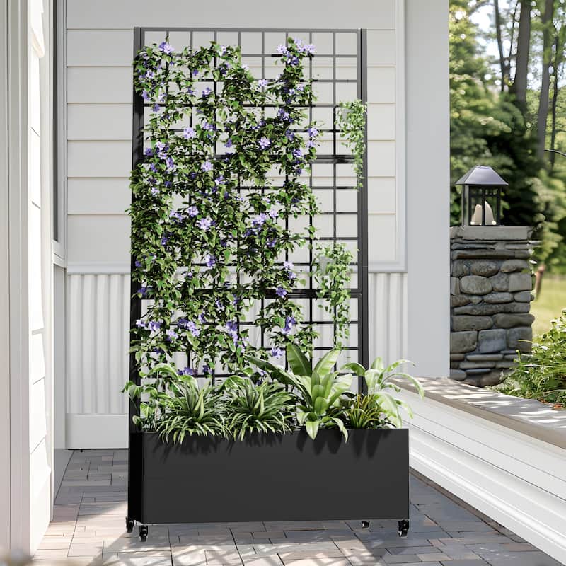 Movable Raised Garden Bed with Trellis and Lockable Wheels - 71*35 - Black