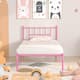 Option Pink