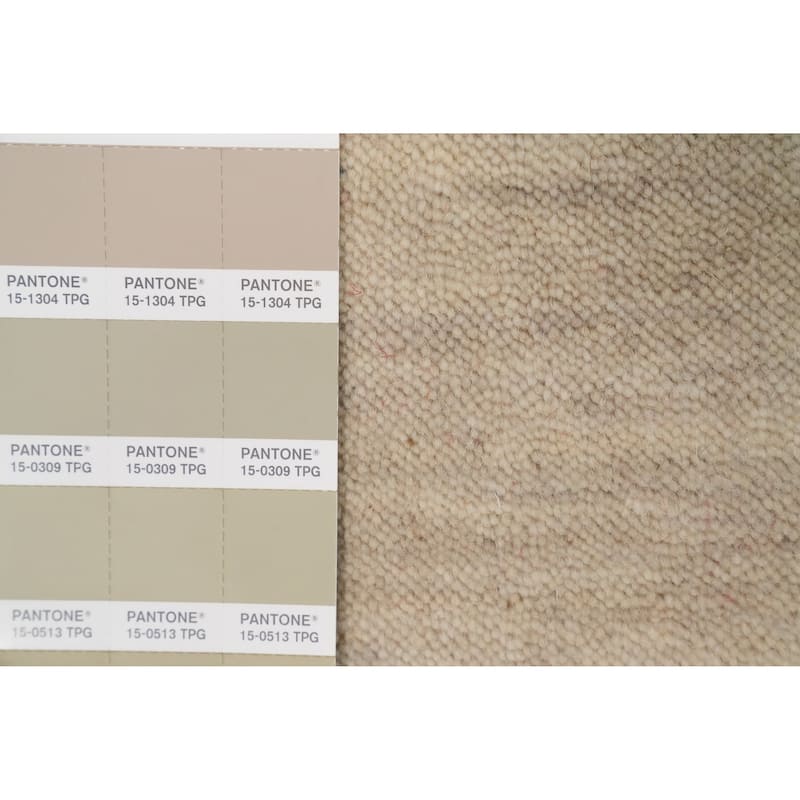 Hand Knotted Oriental 100% Wool Carpet Tribal Animal Pictorial Beige & Ivories Gabbeh Runner Rug - 11' 10'' X 4' 3''