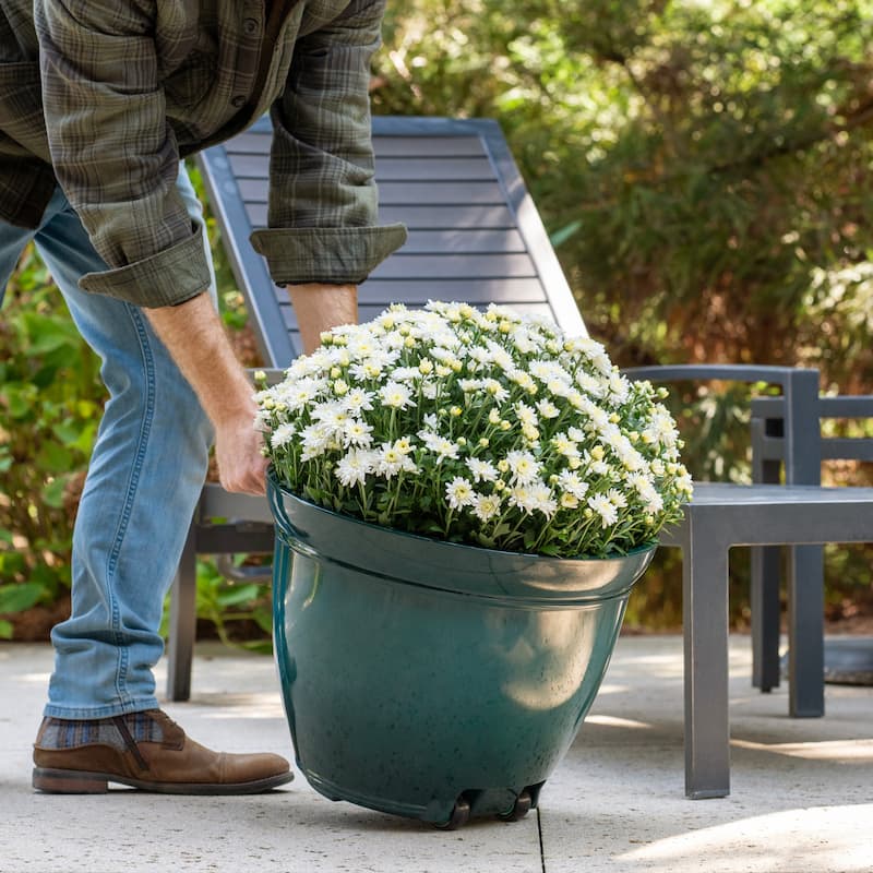 Southern Patio Kittredge Resin 17.5-inch Planter with Wheels