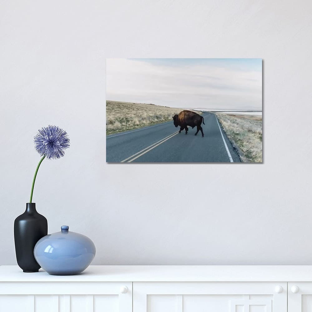 iCanvas "Buffalo Bison" by Chelsea Victoria Canvas Print
