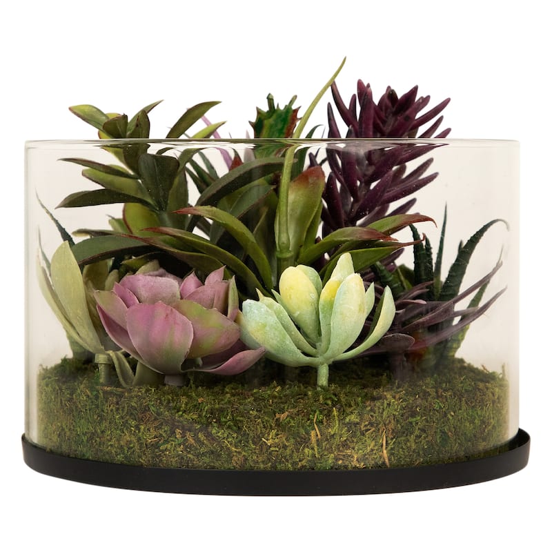 Mixed Succulent Artificial Arrangement in Round Glass Jar - 8" - 5-footx8-foot