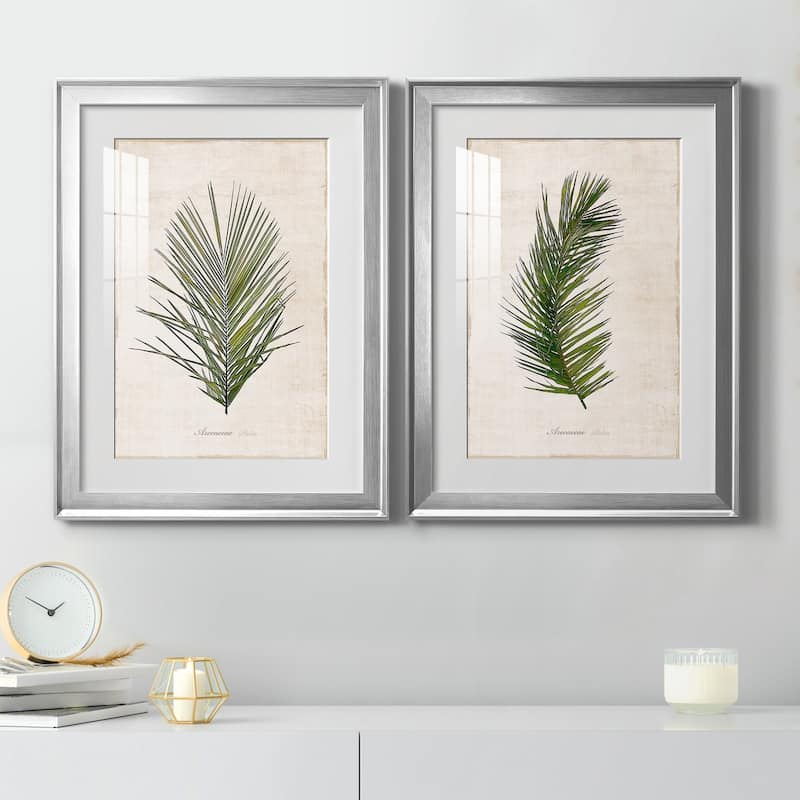 Palm Botanical I Premium Framed Print - Ready to Hang