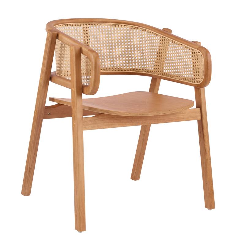 Christopher Knight Home - Mid-Cenutry Natural Rattan Mesh Dining Chairs Set with Ergonomic Curved Back and Armrests