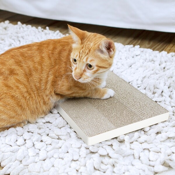 Catnip scratch pad online