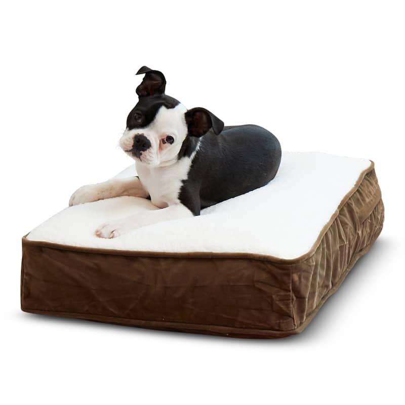 Happy Hounds Buster Sherpa Latte Dog Bed - Extra Small