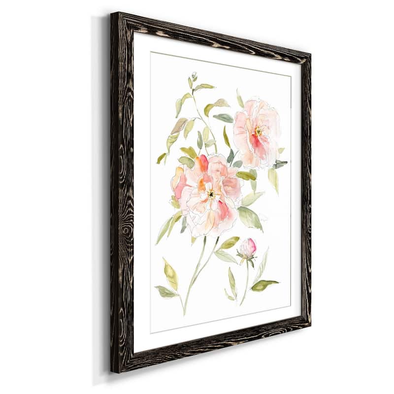 Sketchbook Cottage Rose II-Premium Framed Print - Ready to Hang