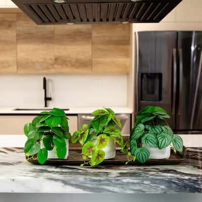 Mixed Artificial Plants with Ceramic Planter - 8' - Green - Set of 3