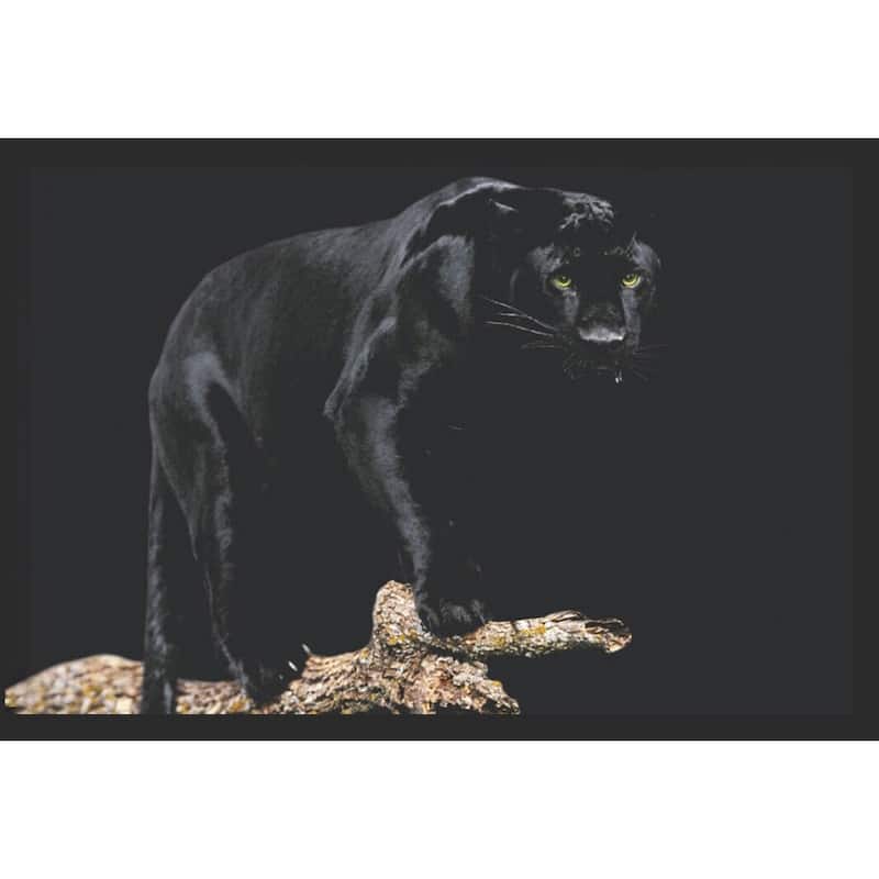 Black Panther Wildlife Framed Poster - 24 x 36 Inch