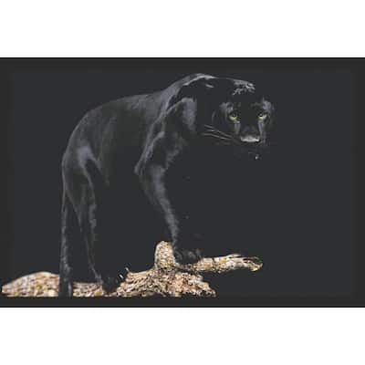 Black Panther Wildlife Framed Poster - 24 x 36 Inch