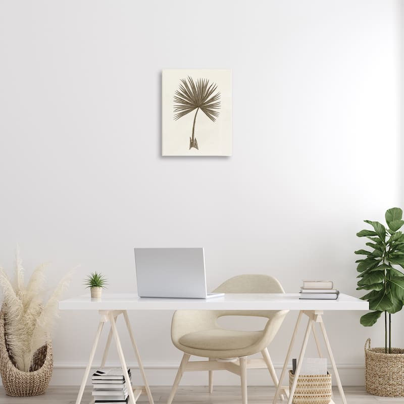 Stupell Vintage Study of Palm Leaf Canvas Wall Art Design By Phillipa Katz