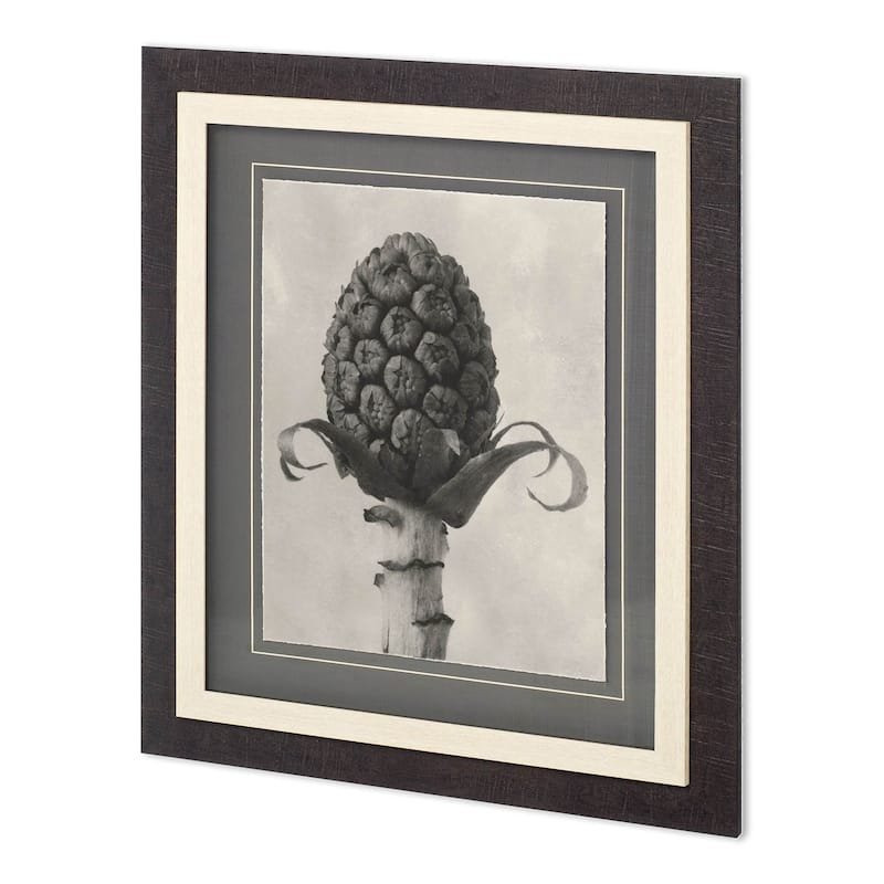 Custom Blossfeldt Botanical IV Framed Art Print