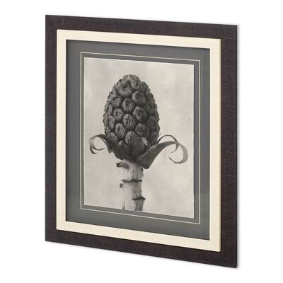 Custom Blossfeldt Botanical IV Framed Art Print