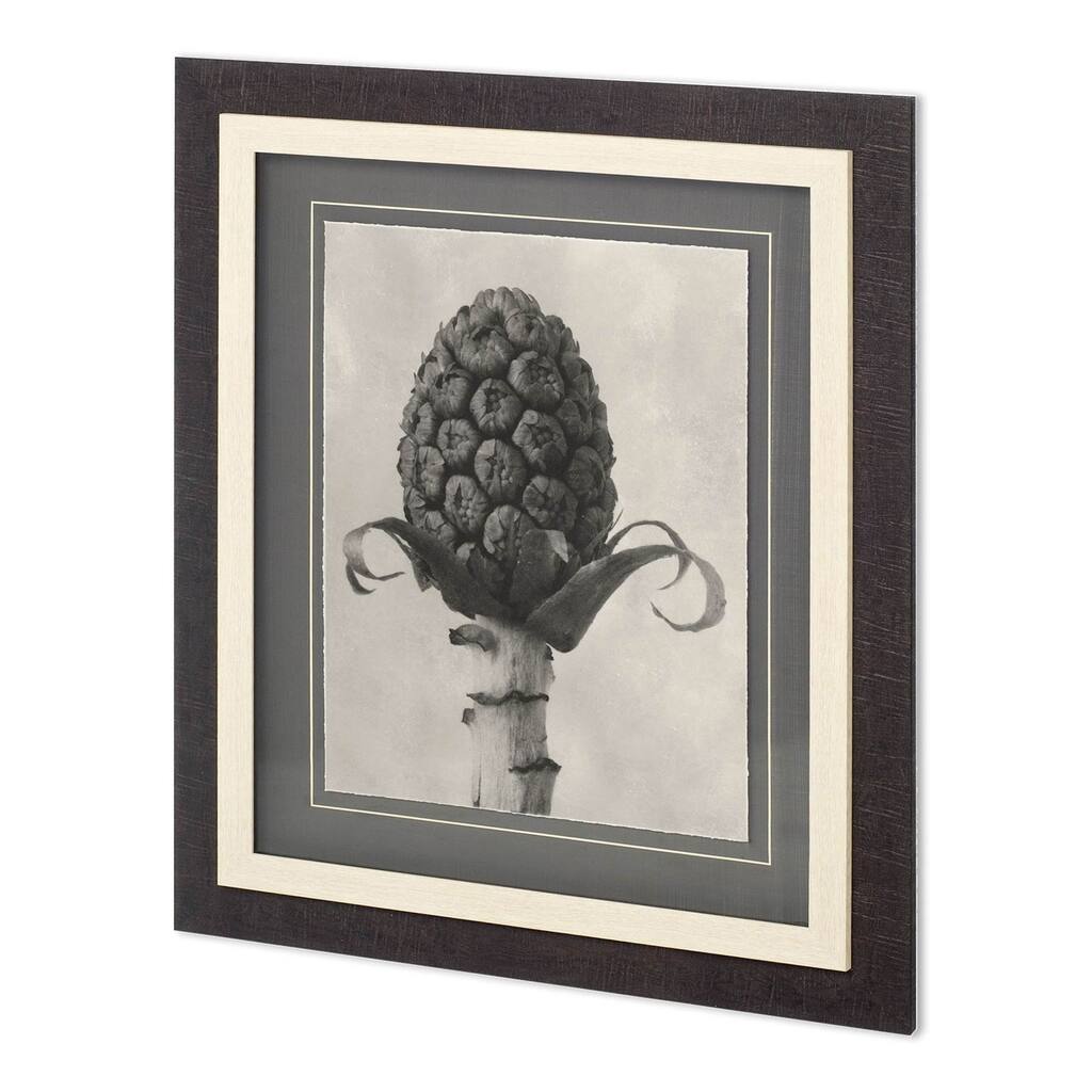 Custom Blossfeldt Botanical IV Framed Art Print
