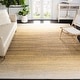 preview thumbnail 155 of 171, SAFAVIEH Adirondack Wilmy Ombre Distressed Rug