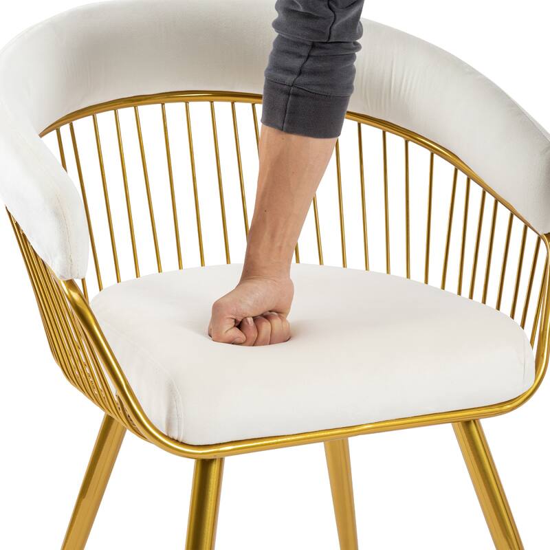 XINMICS Modern Dining Chair, Velvet Back Armchair for Living Room/Study, Set of 2/4/6
