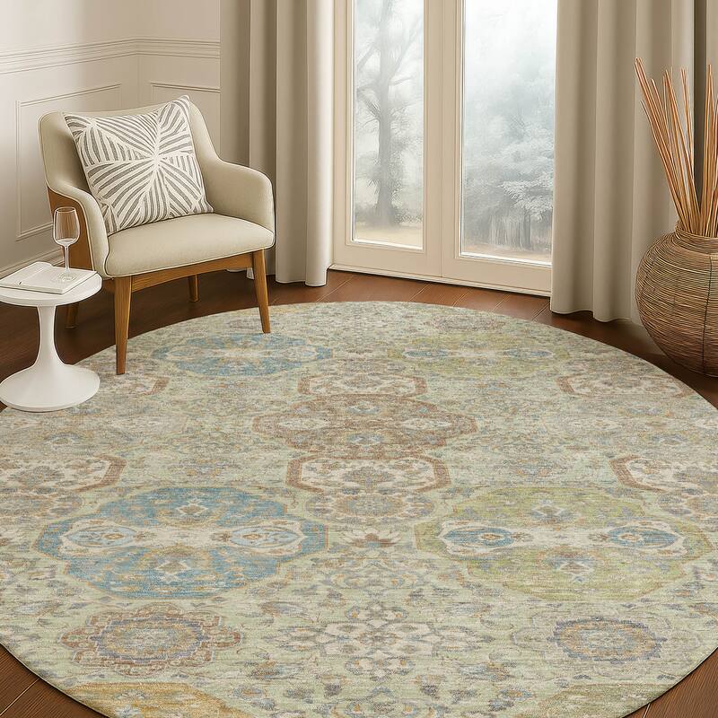 Machine Washable Indoor/ Outdoor Traditional Tracey Chantille Rug